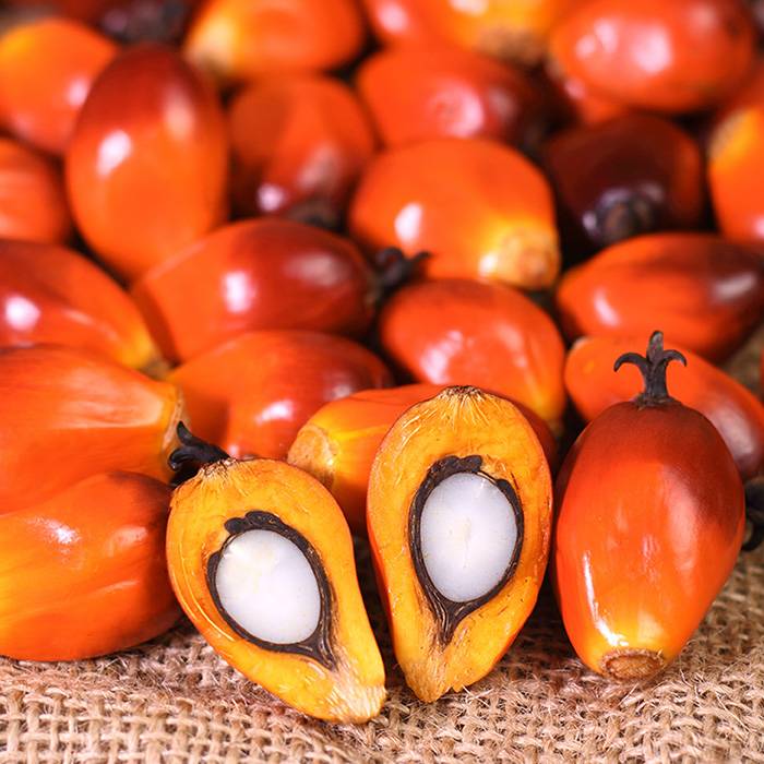 7865 Palm Oil, White, Refined