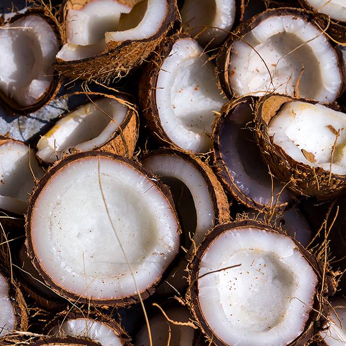 9504 Coconut Flavour