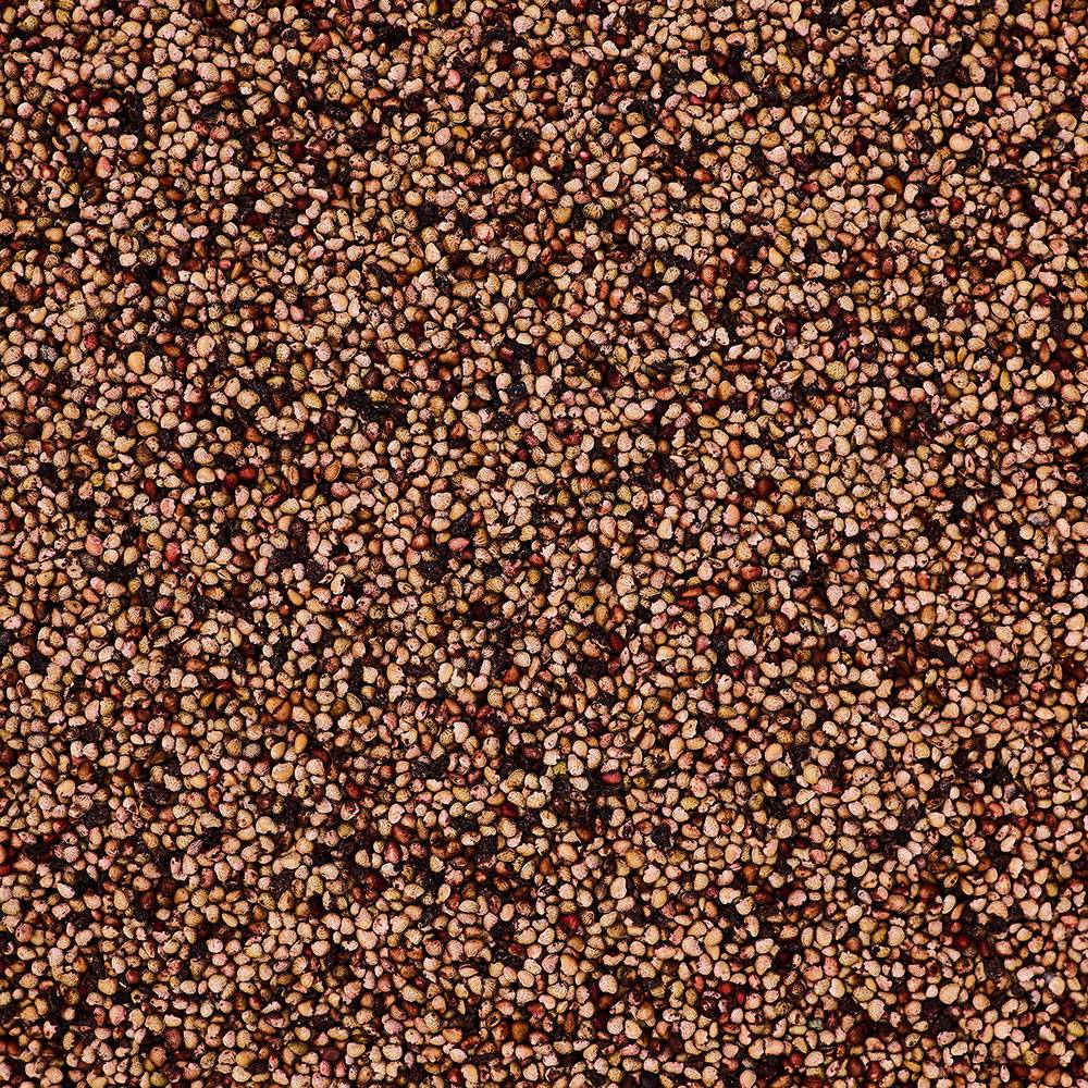 9622 Strawberry Seeds